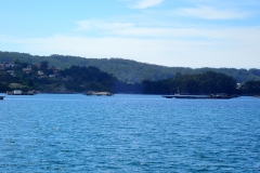 P4250920