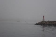 P9190688