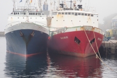 P9190721