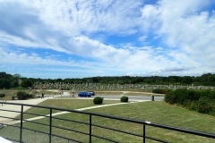 P6100062