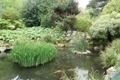 Public Gardens