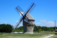 P6050609