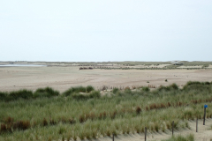 P5010190_128