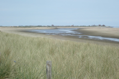 P5010193_129