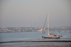 DSC_0103