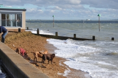 Chalkwell