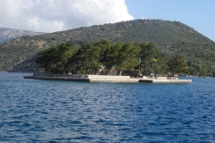 DSC01110