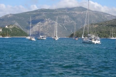 DSC01115