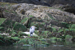 Gulf Islands