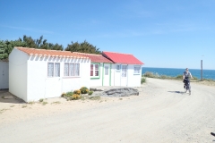 P5310474
