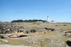 P5310483