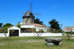 P5310530