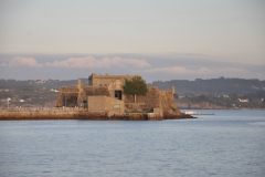 DSC_0343