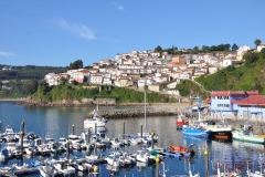 DSC_0157