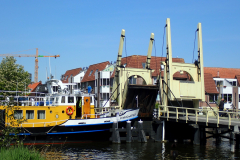 P5090066_177