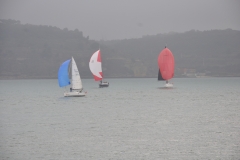 DSC_0667