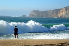 PA041203