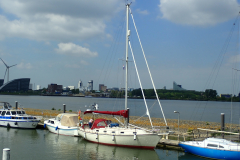 P5140235_204