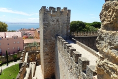 P8280388