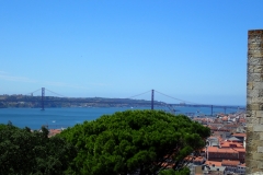 P8280398