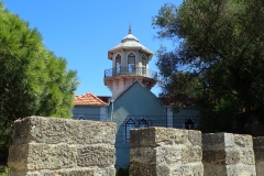 P8280411