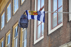 DSC_0181