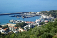 P9040534