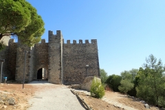 P9040558