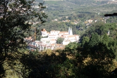 PA250558