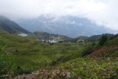 DSC01708