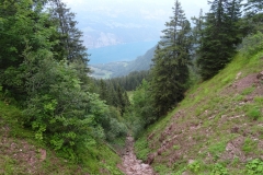 DSC01731
