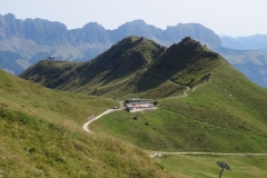 DSC02101